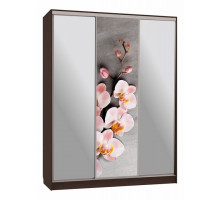 Шкаф-купе Бассо 9-600 78