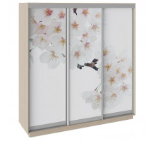 Шкаф-купе Румер