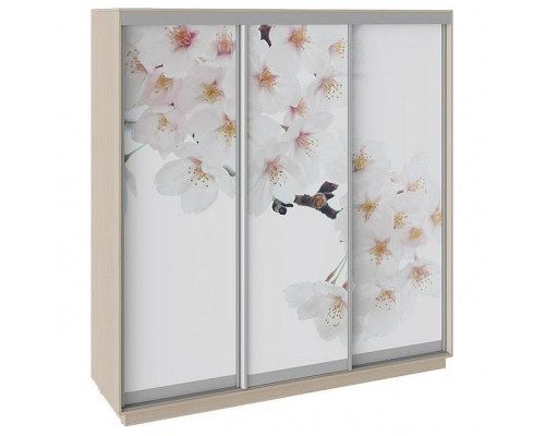 Шкаф-купе Румер