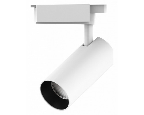 Светильник на штанге Gauss TR TR070