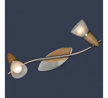 Спот Lussole Cisterino 