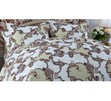 Постельное белье полутораспальное Дизайн 236