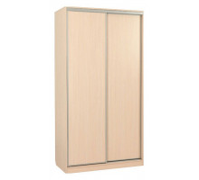 Шкаф-купе Рио 5-600