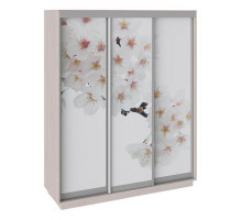 Шкаф-купе Румер СШК 1.180.60-35