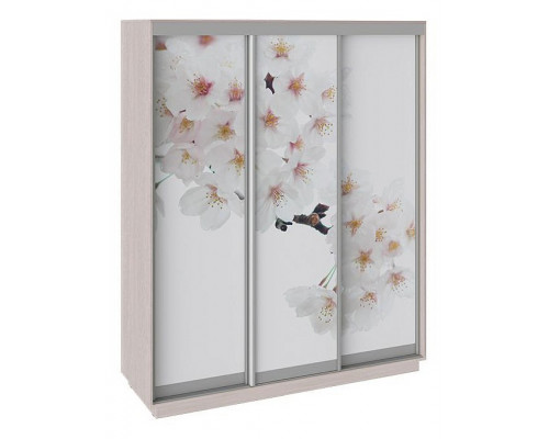 Шкаф-купе Румер СШК 1.180.60-35