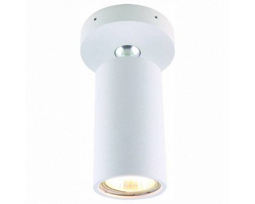 Спот Divinare Gavroche Volta 1968/03 PL-1