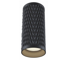 Накладной светильник Maytoni Alfa C036CL-01B