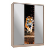 Шкаф-купе Бассо 9-600 87