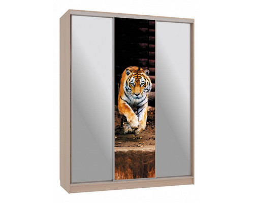 Шкаф-купе Бассо 9-600 87