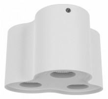 Накладной светильник Lightstar Binoco 52036