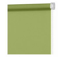 Штора рулонная (50x160 см) Плайн Зеленый Луг