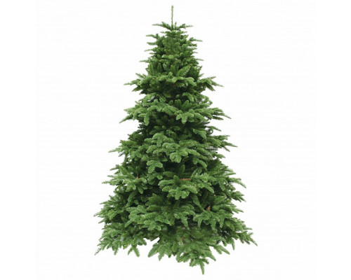 Ель новогодняя [7 м] Нормандия темно-темно-зеленый 73886