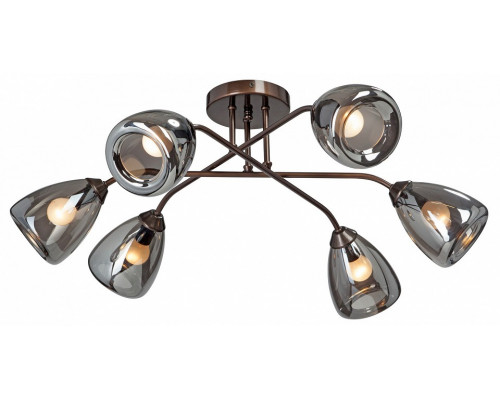 Потолочная люстра Vitaluce  V4955-7/6PL