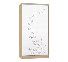 Шкаф-купе Рио 7-600 18