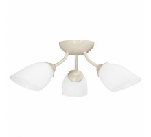 Потолочная люстра Vitaluce V3184 V3405/3PL