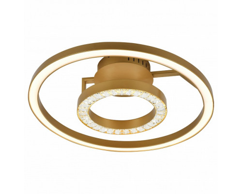 Накладной светильник Favourite Sanori 2546-2U