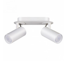 Спот Odeon Light Corse 3873/2C