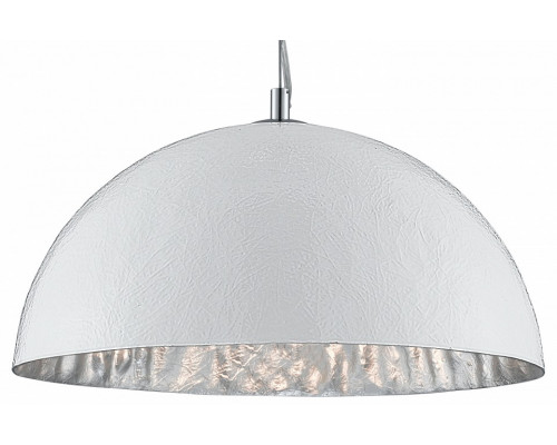Подвесной светильник Arte Lamp Dome A8149SP-1SI