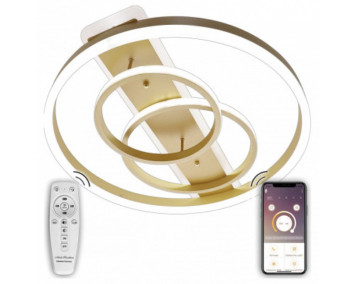 Накладной светильник Natali Kovaltseva LED LAMPS LED LAMPS 81302