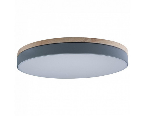 Накладной светильник Loft it Axel 10001/36 Grey