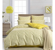 Постельное белье евростандарт Модерн №57