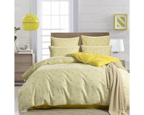 Постельное белье евростандарт Модерн №57