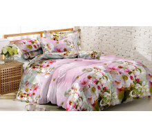 Постельное белье евростандарт Fancy