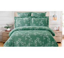 Постельное белье евростандарт Cotton Jacquard