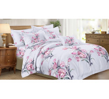 Постельное белье полутораспальное Art Color 063-AC