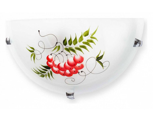 Накладной светильник TopLight Pirolf TL9350Y-01WH