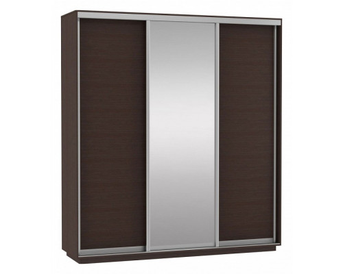 Шкаф-купе Экспресс Медиум (1 зеркало) Трио 2100x600x2200