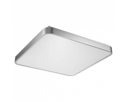 Накладной светильник Zumaline Sierra 12100005-SL