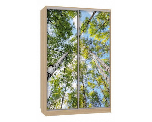 Шкаф-купе Рио 7-600 57