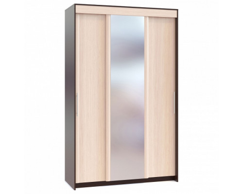 Шкаф-купе ШР-156.2