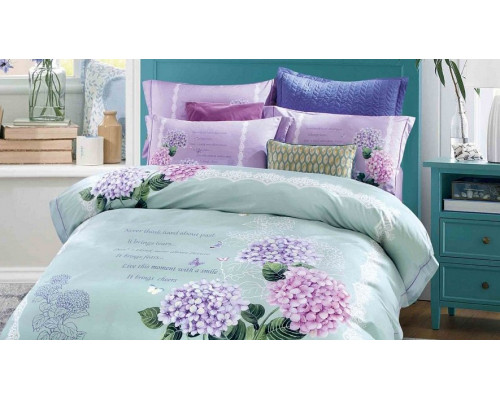 Постельное белье евростандарт RS-252