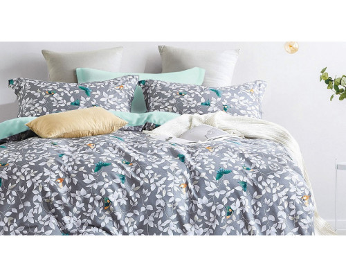 Постельное белье евростандарт Sharon