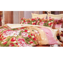 Постельное белье евростандарт C-147