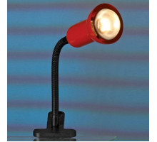 Настольная лампа офисная Lussole Warshawa 