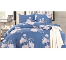 Постельное белье евростандарт CL-331