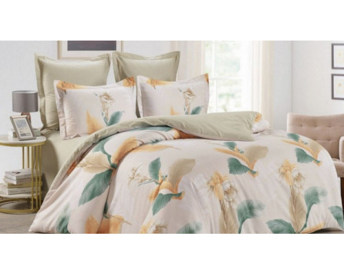 Постельное белье евростандарт C-384