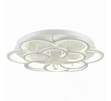 Накладной светильник EVOLUCE Bonn SLE200502-12