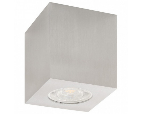 Накладной светильник Denkirs DK3010 DK3010-AL