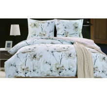 Пододеяльник евростандарт PDST