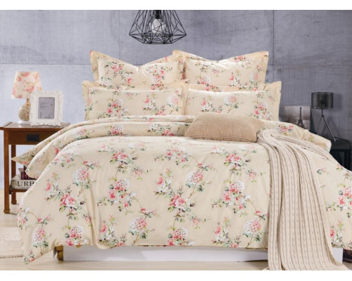 Постельное белье двуспальное C-192