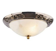 Накладной светильник Arte Lamp Alta A3014PL-2AB