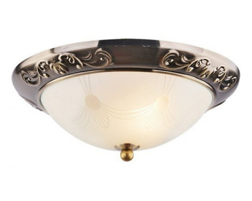 Накладной светильник Arte Lamp Alta A3014PL-2AB