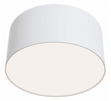 Накладной светильник Maytoni Zon C032CL-L12W4K