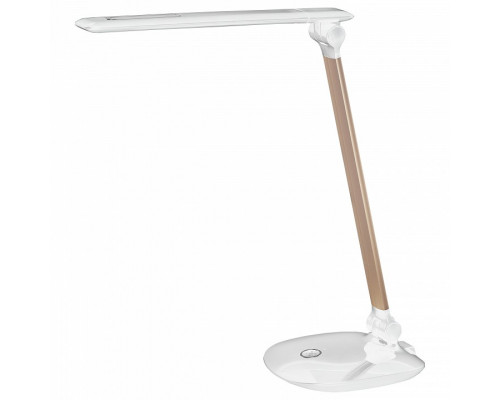 Настольная лампа офисная Эра NLED-456 NLED-456-10W-W-G