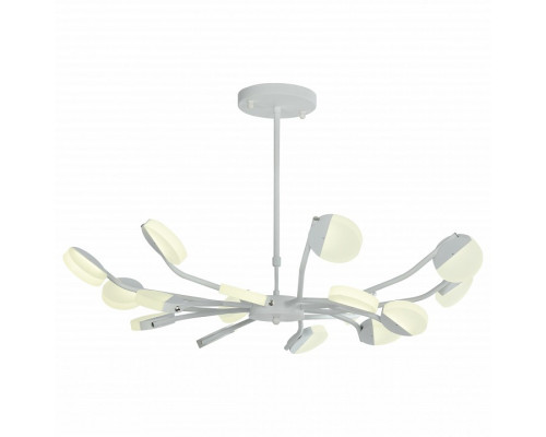 Подвесная люстра Favourite Mense 2264-16P