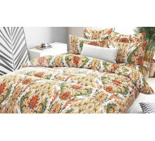 Постельное белье евростандарт Валенсия